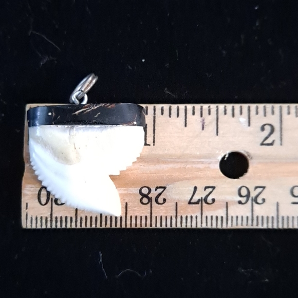 ❌SOLD❌Black coral shark tooth pendent - Picture 3 of 3